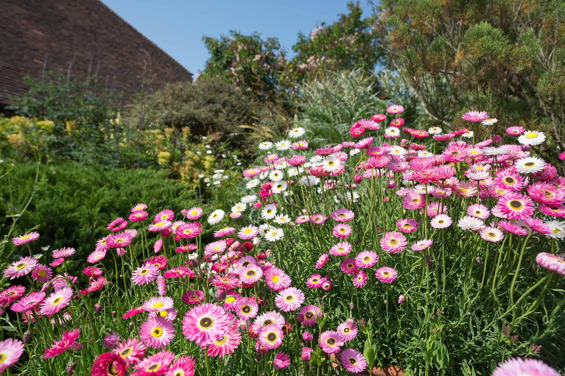 Great Dixter