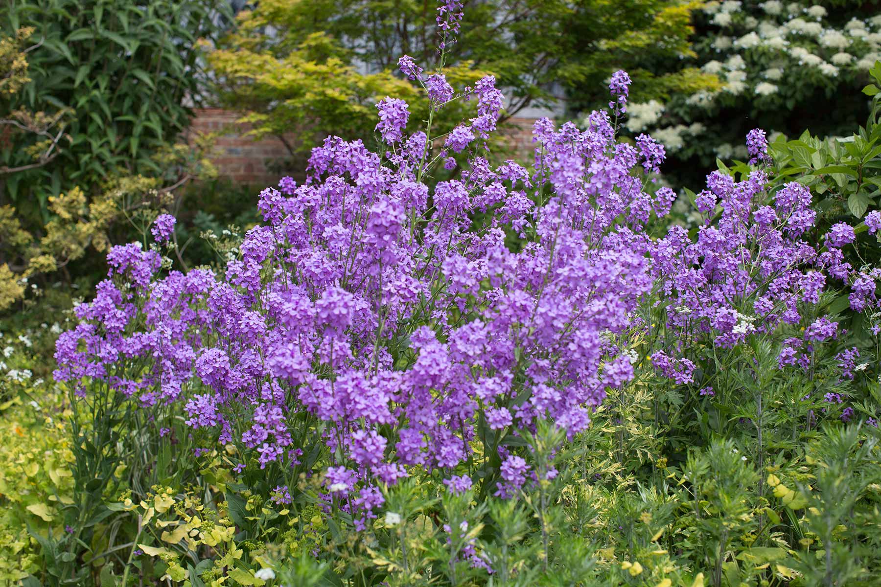 Great Dixter