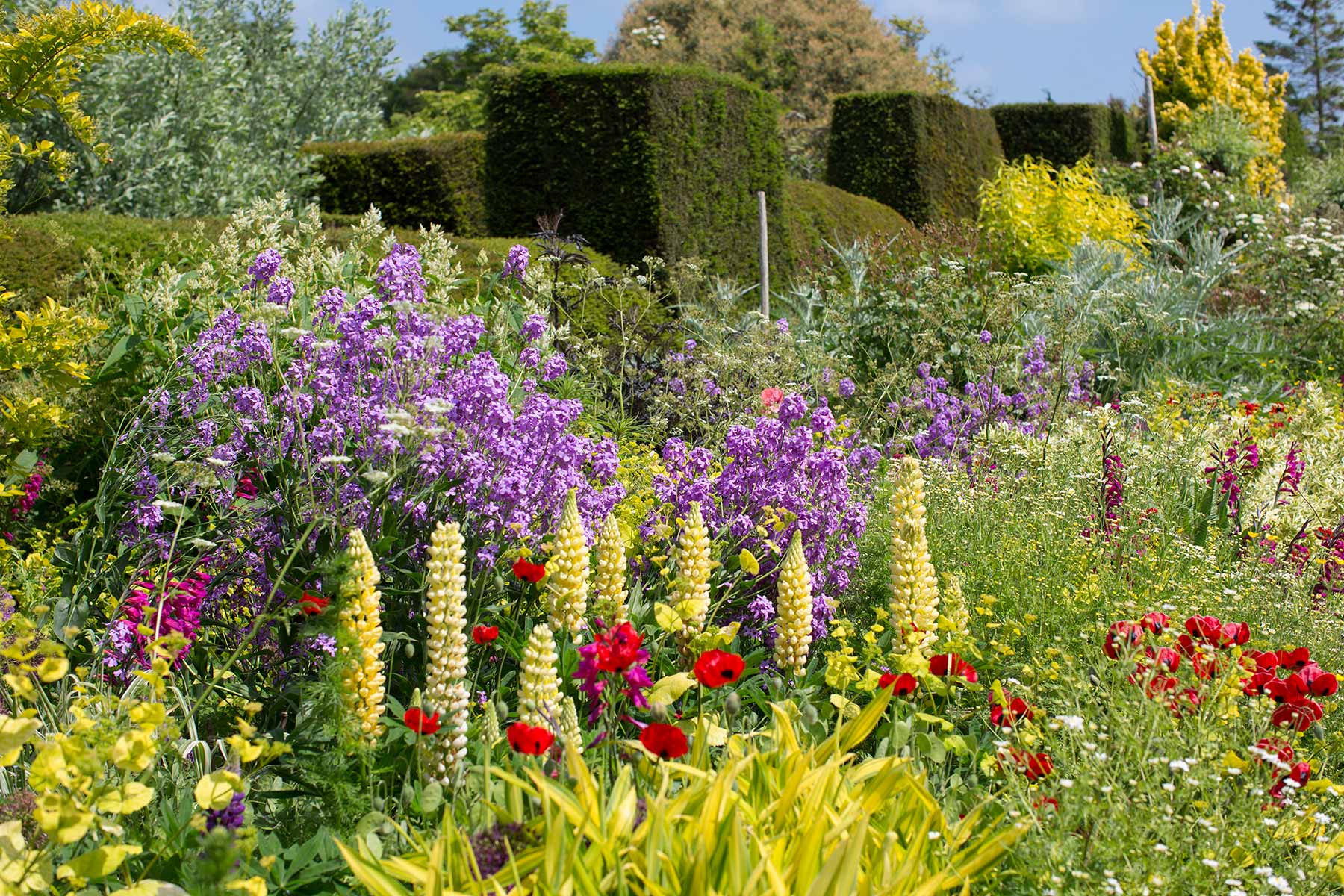 Great Dixter