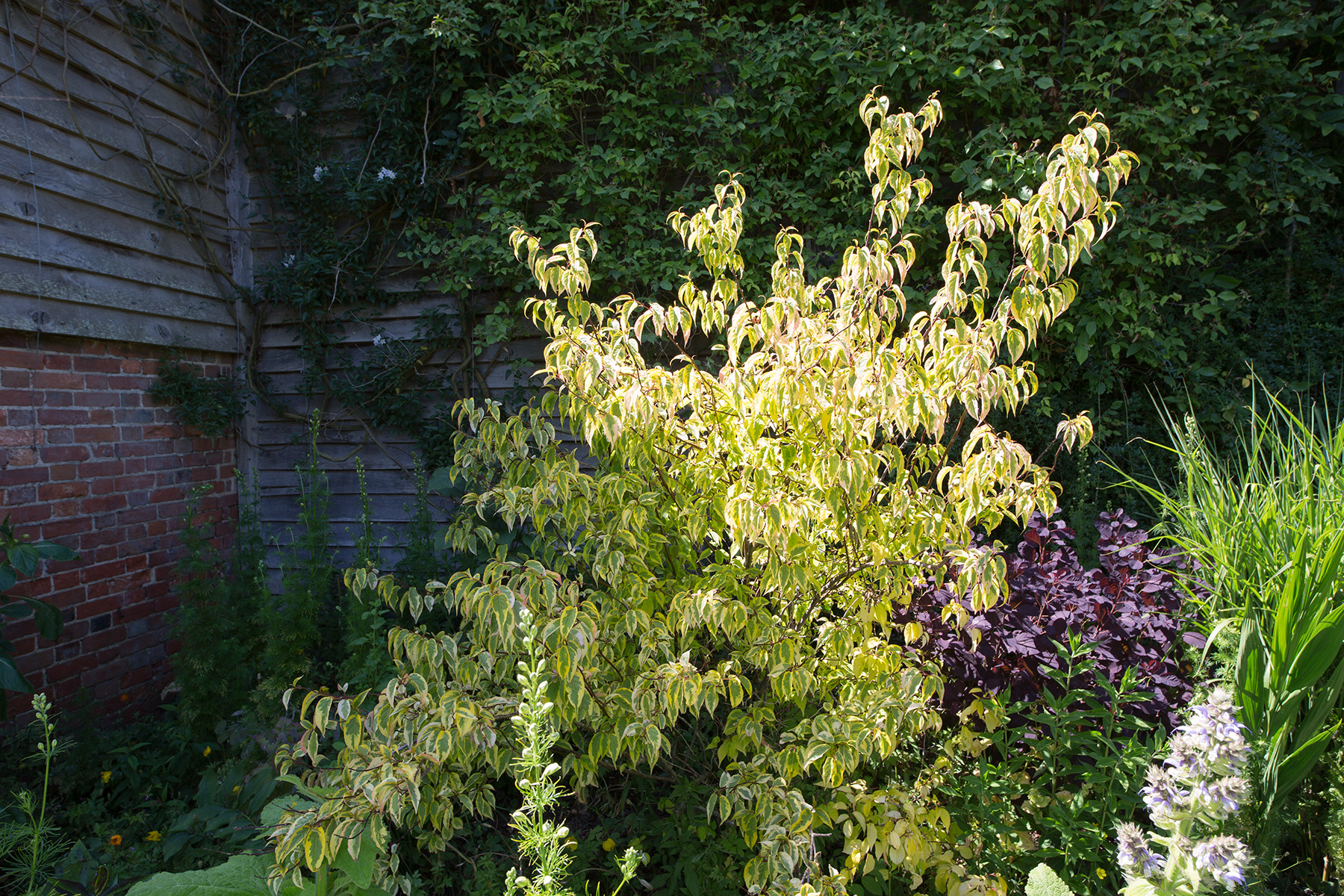 Great Dixter