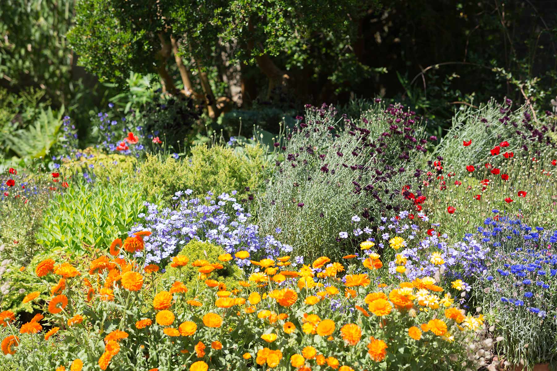 Great Dixter