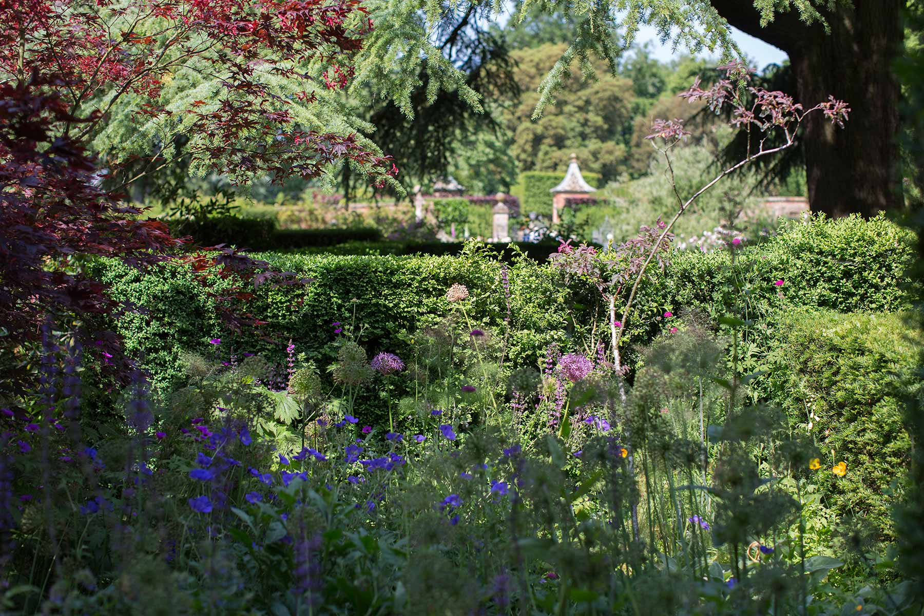 Hidcote