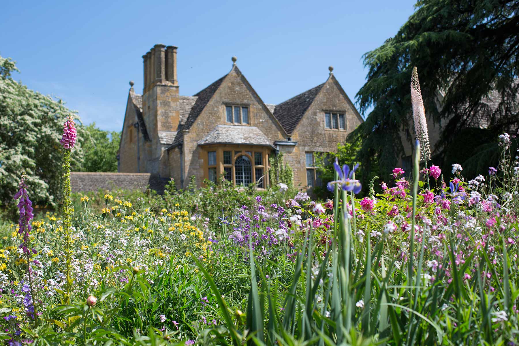 Hidcote