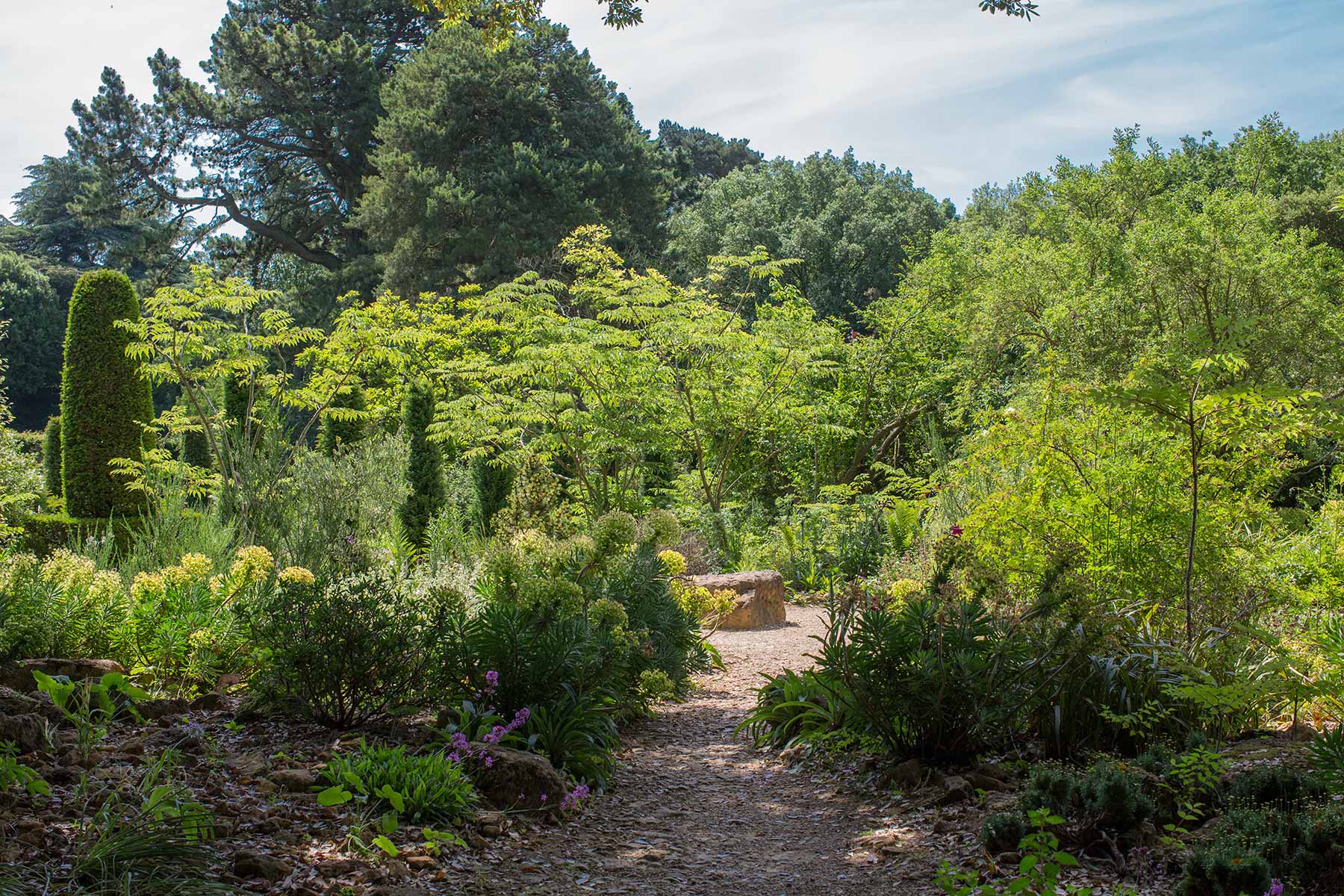 Hidcote