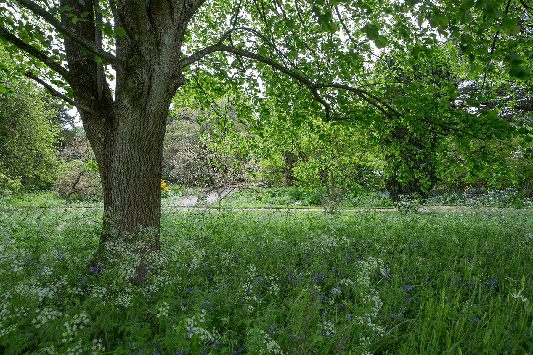 Greæeng i Lake District