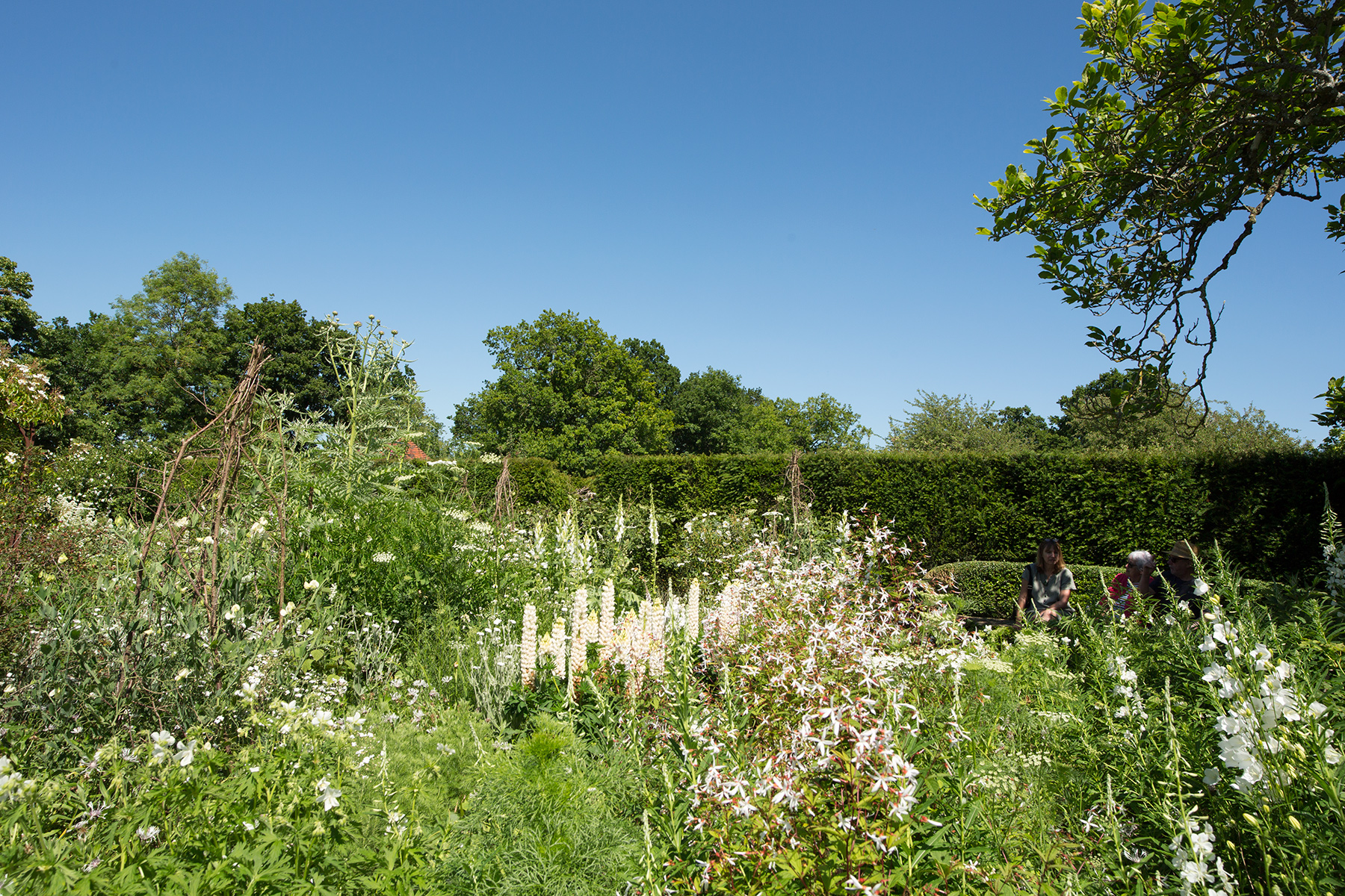 Sissinghurst