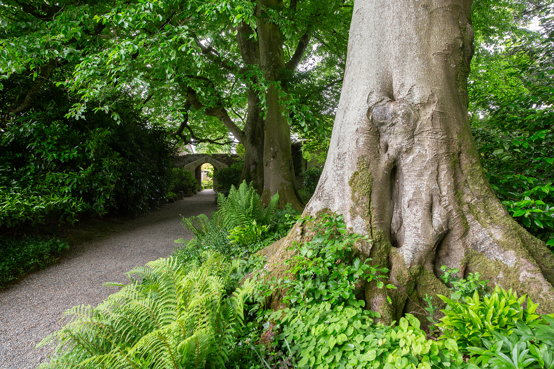 Irland