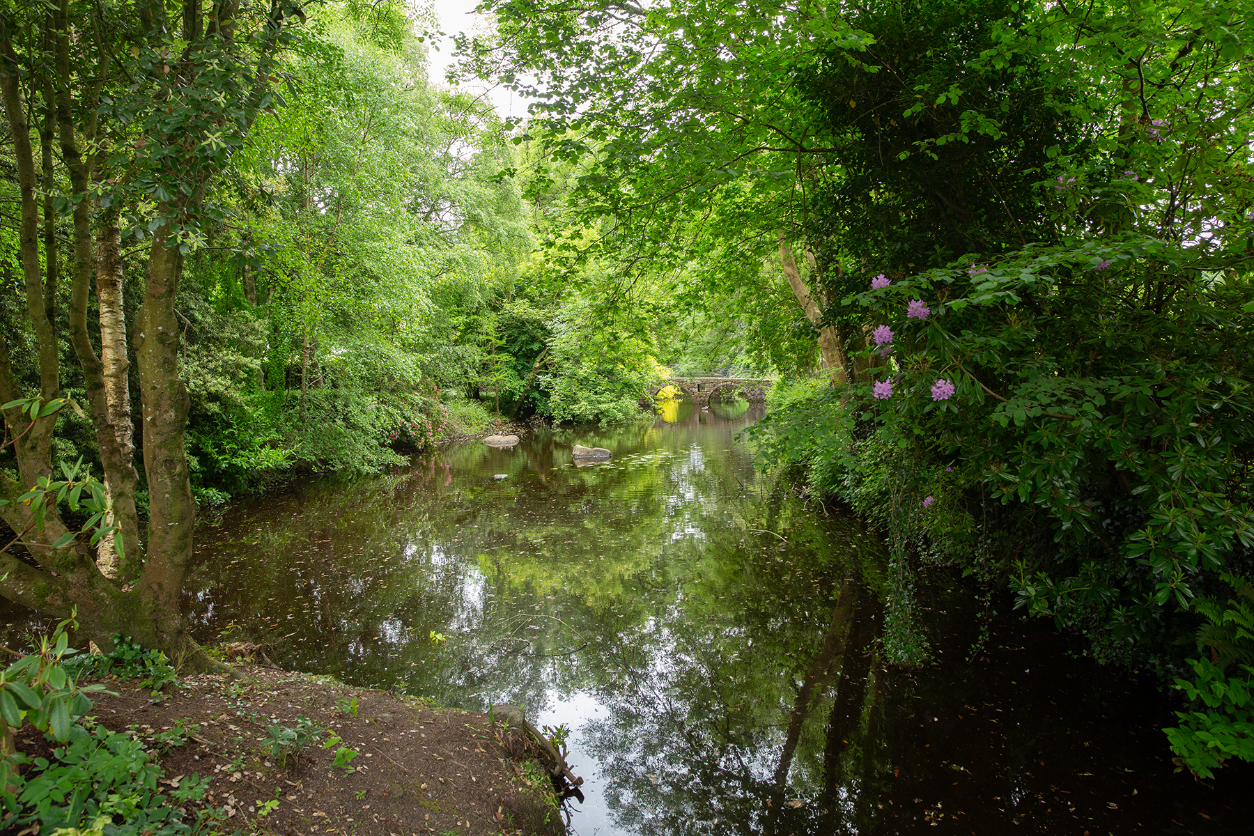 Irland