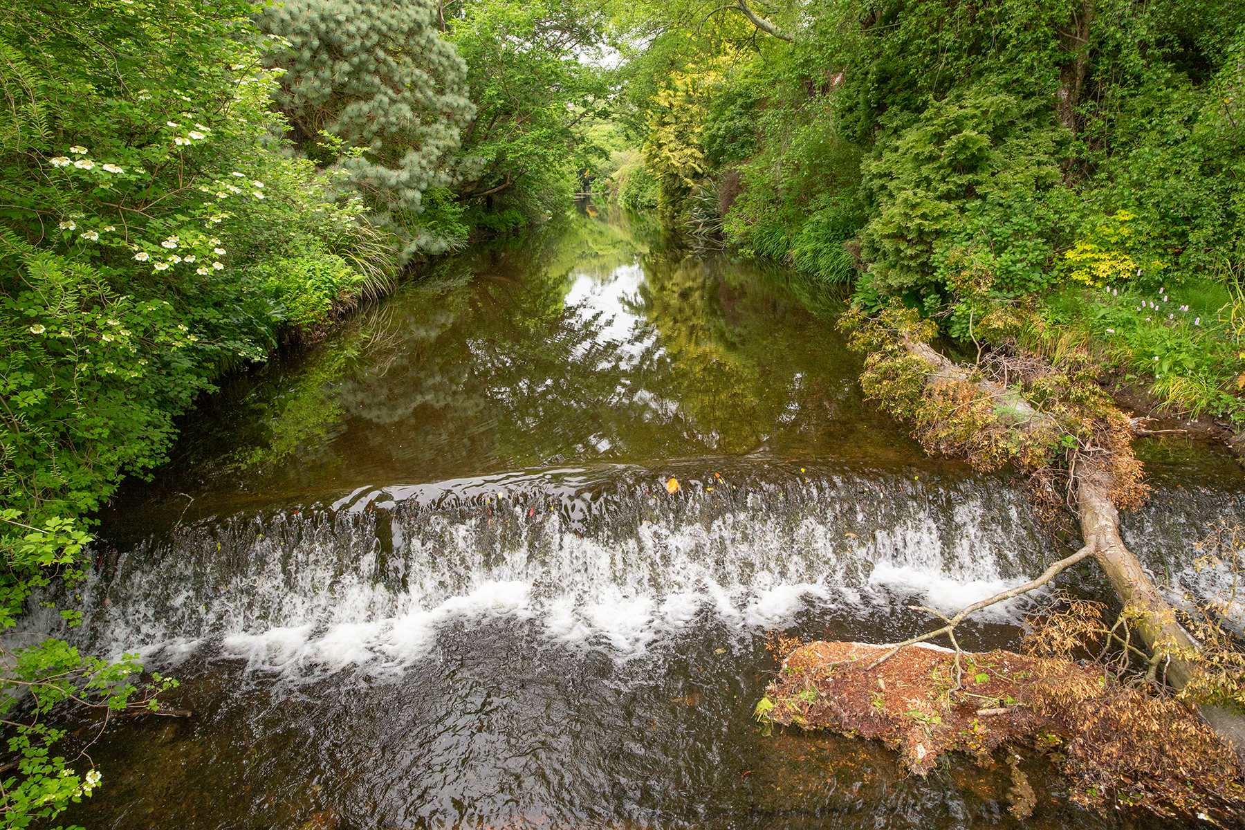 Irland