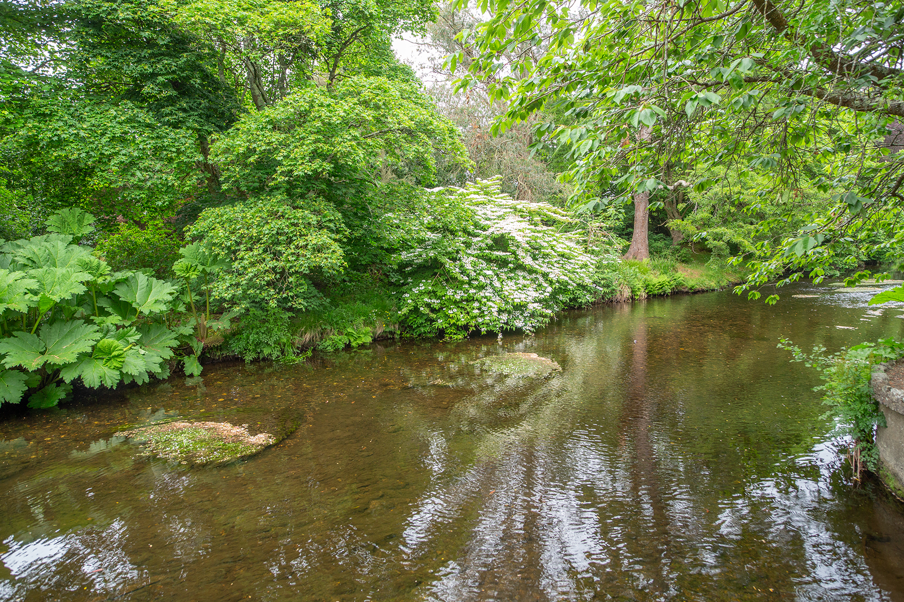 Irland