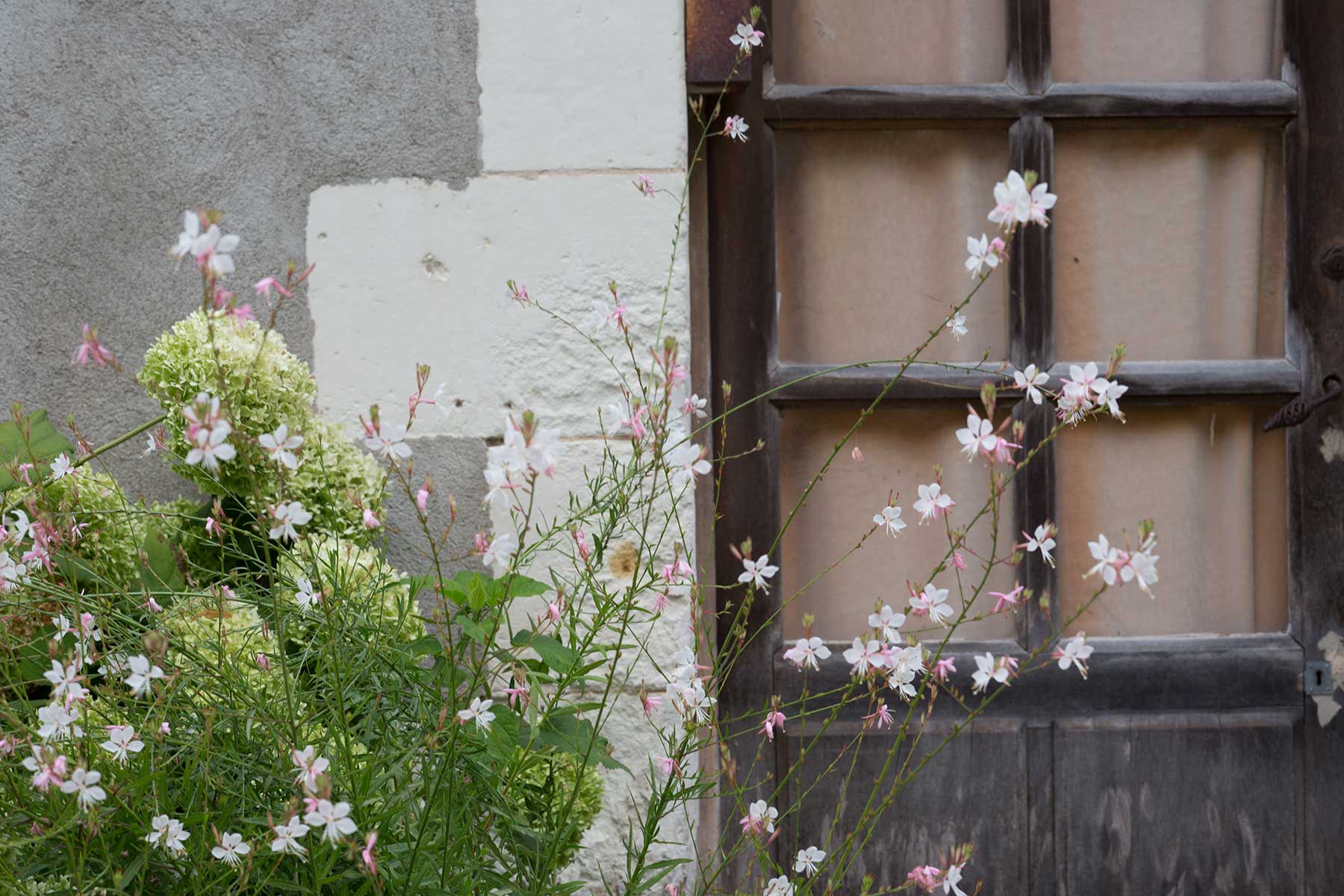 Chedigny - blomsterby i Loire