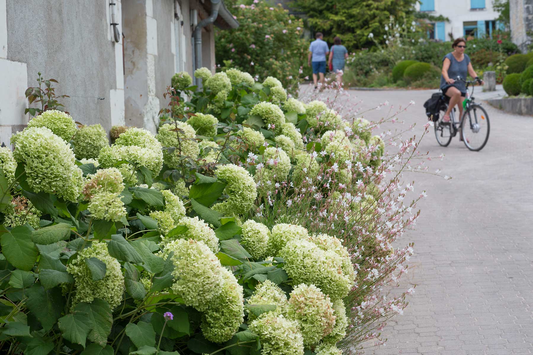 Chedigny - blomsterby i Loire