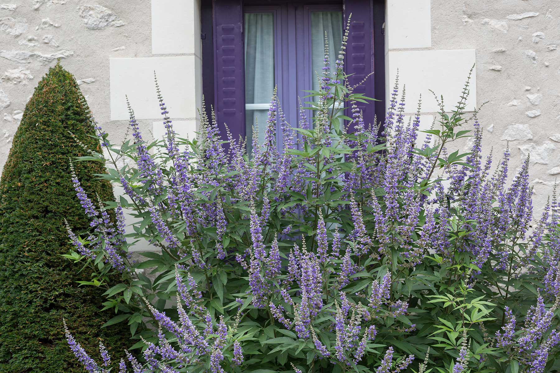 Chedigny - blomsterby i Loire