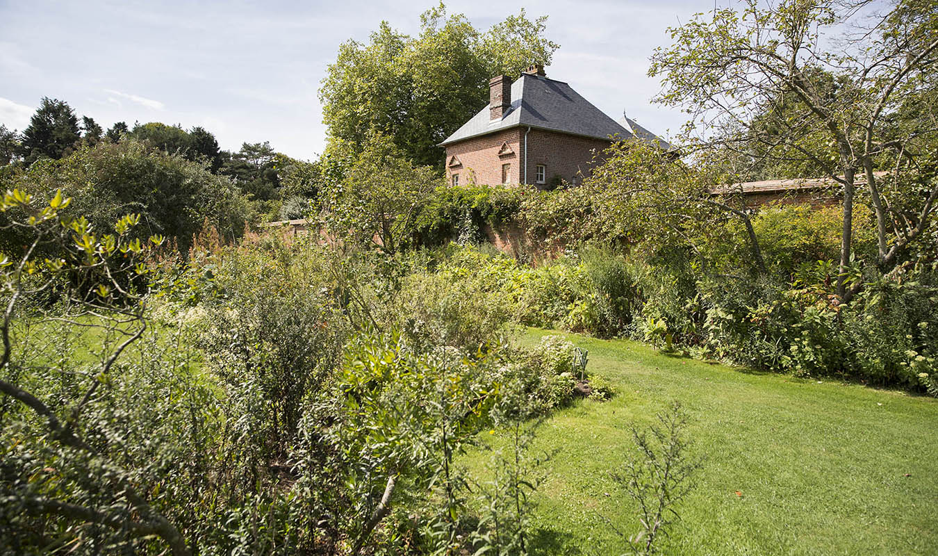 Bois de Moutiers