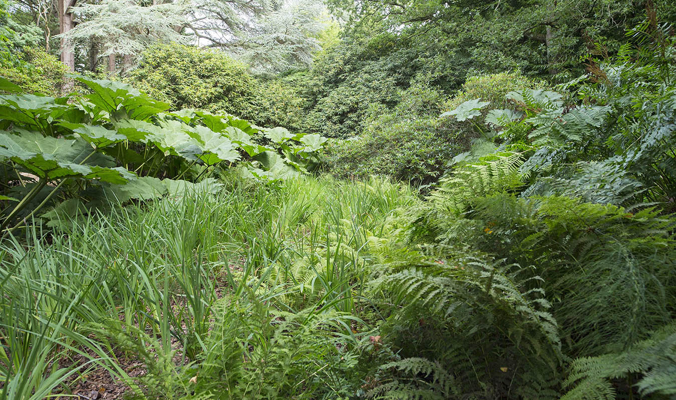 Bois de Moutiers