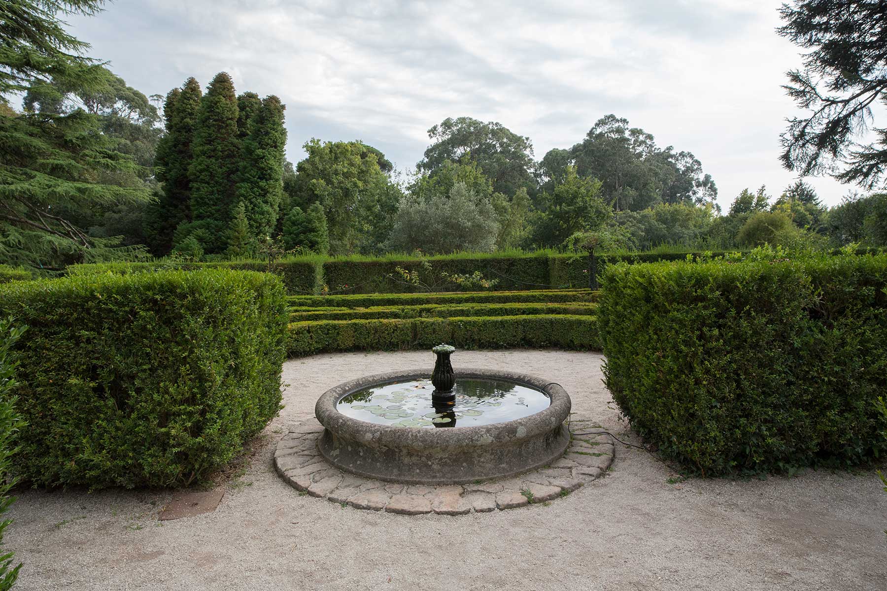 Fundação de Serralves