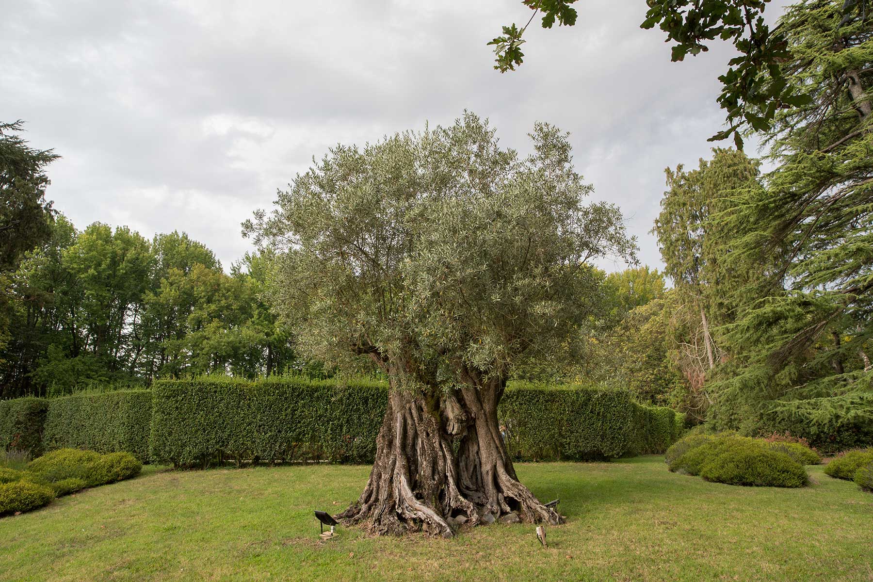 Fundação de Serralves