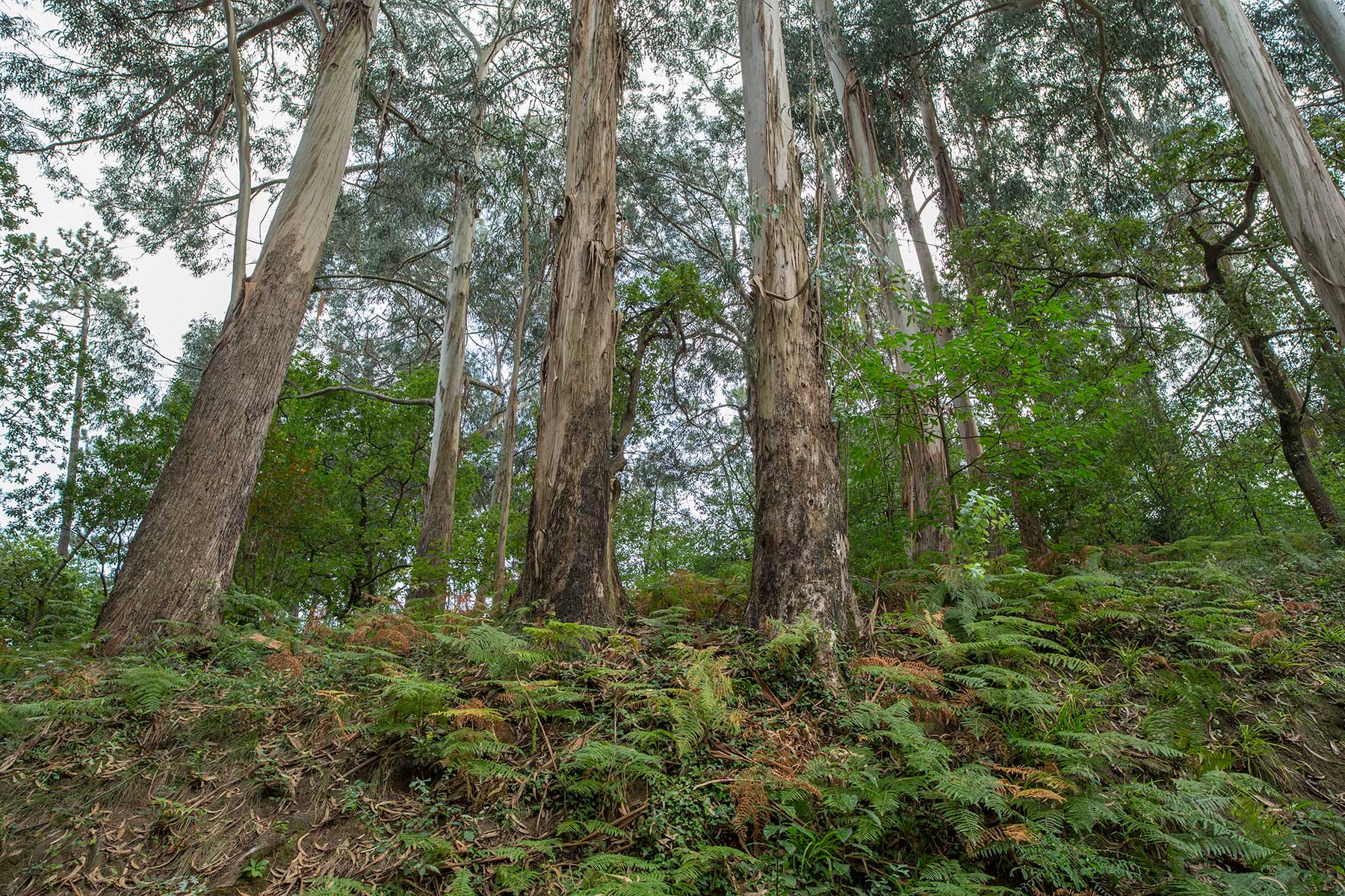 Fundação de Serralves