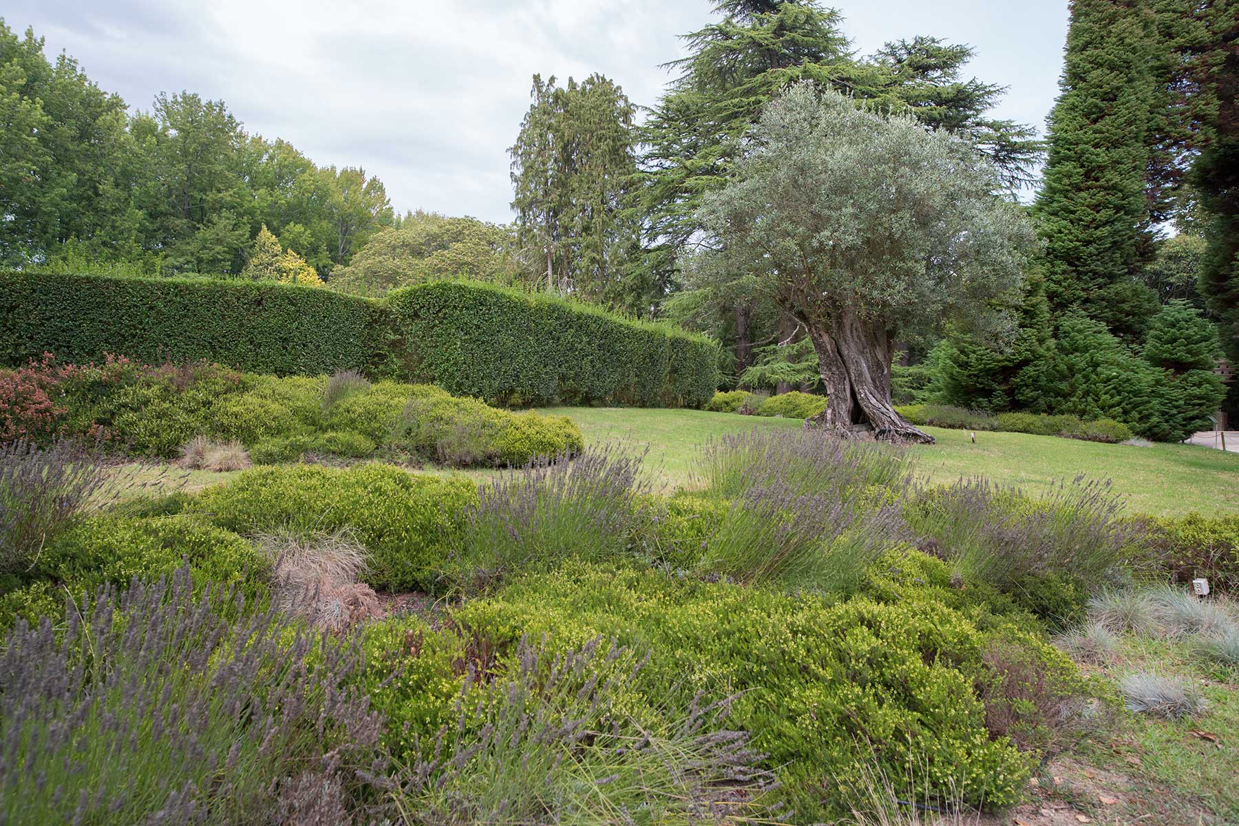 Fundação de Serralves