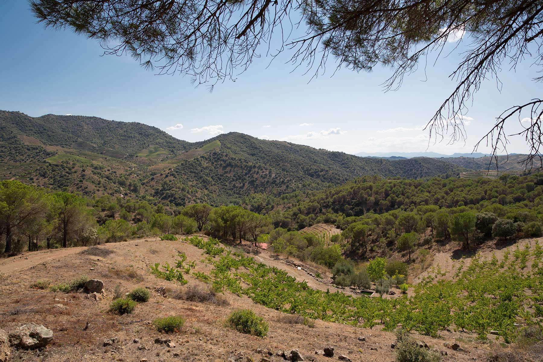 Priorat