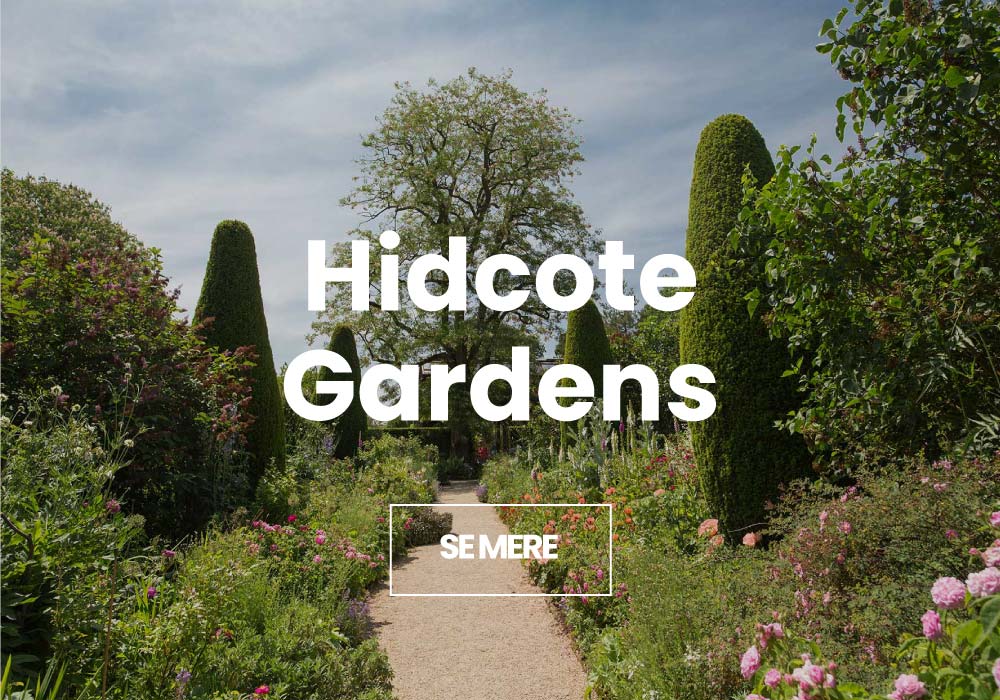 Billeder fra Hidcote