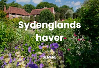 Billeder af Sydenglands haver