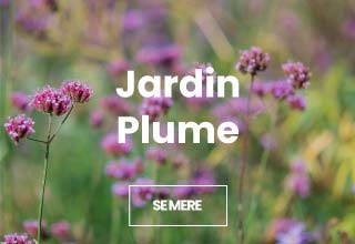 Jardin Plume
