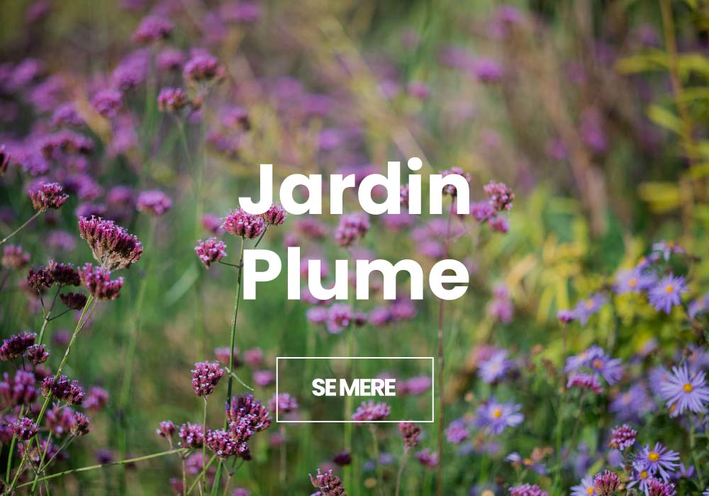 Jardin Plume