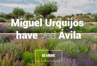 Miguel Urquijos Have