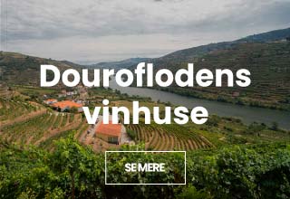 Douroflodens vinhuse