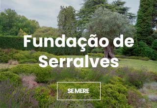 Fundacao de Serralves