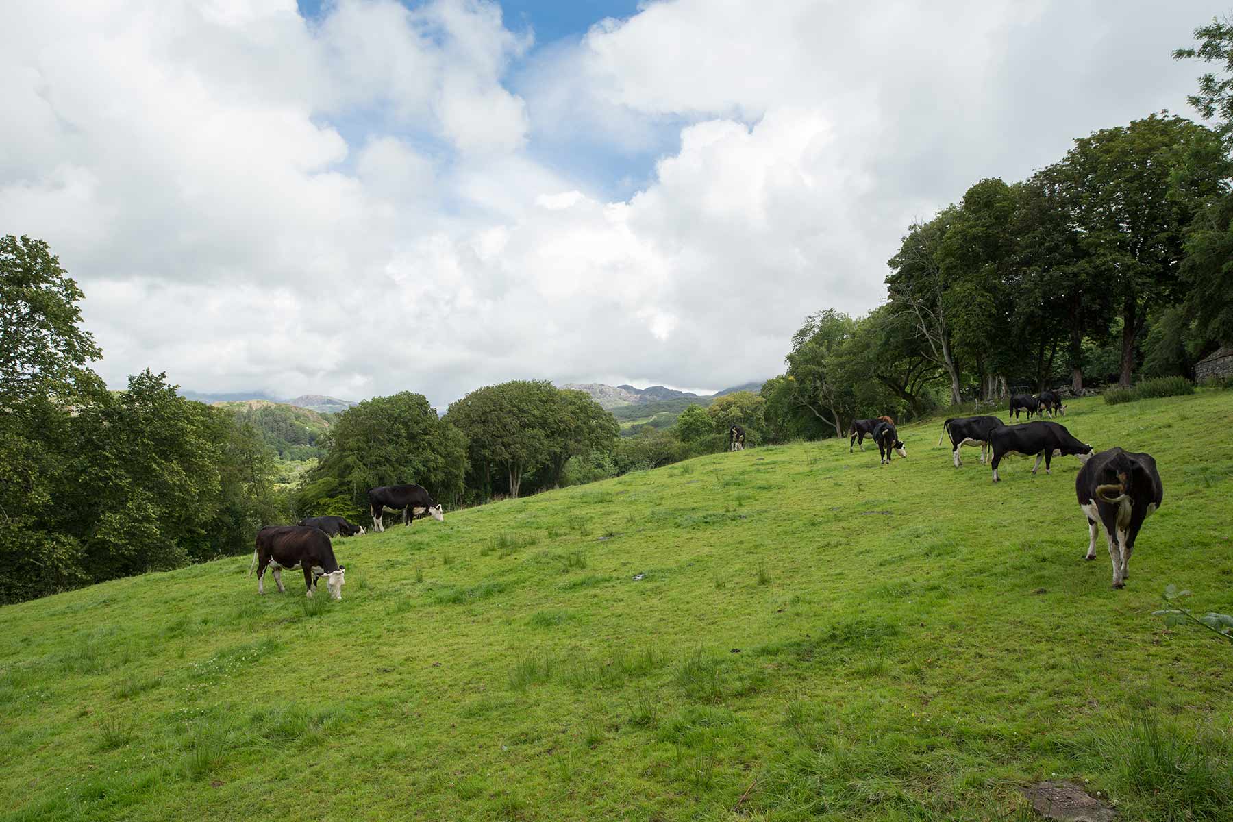 Wales Plas Brondanw