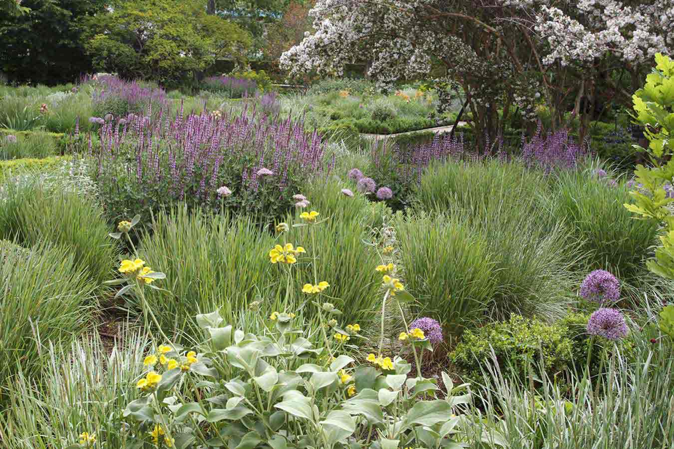 Den botaniske have i Madrid, Fernando Martos