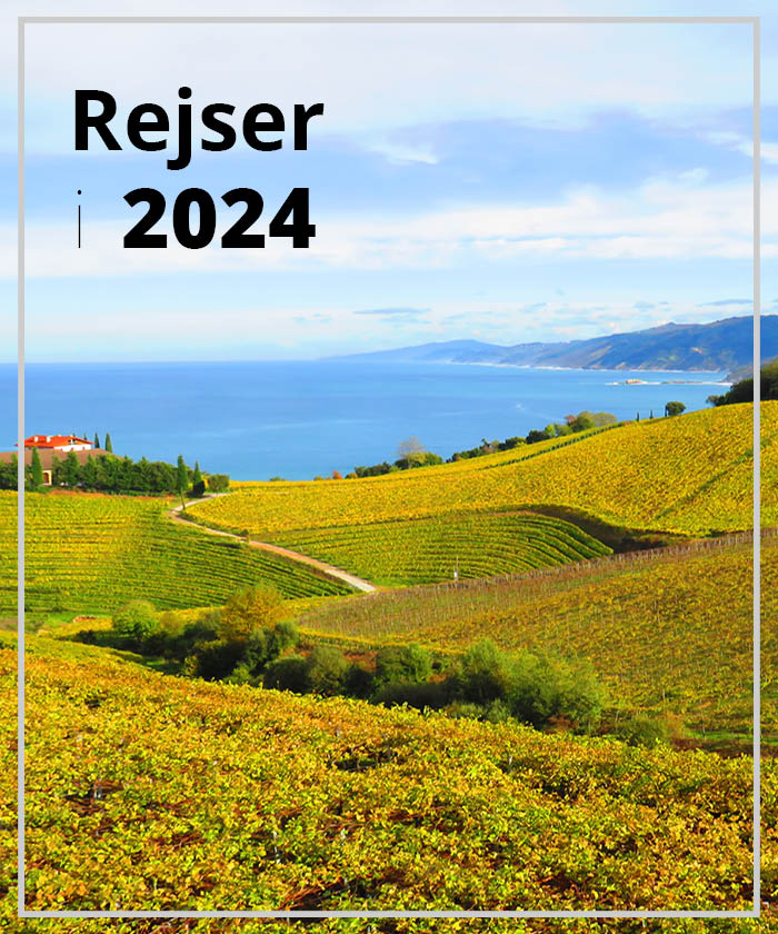 Rejser i 2024