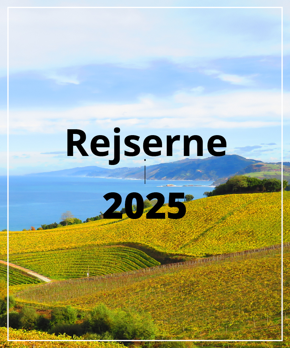 Rejser i 2025