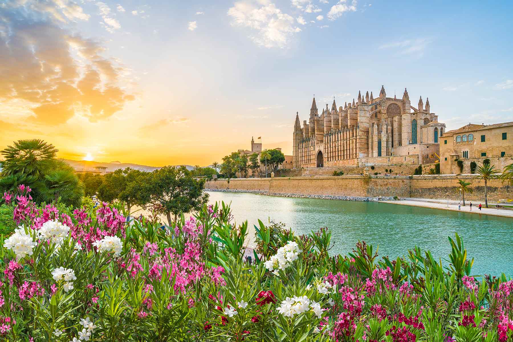 Katedral palma mallorca