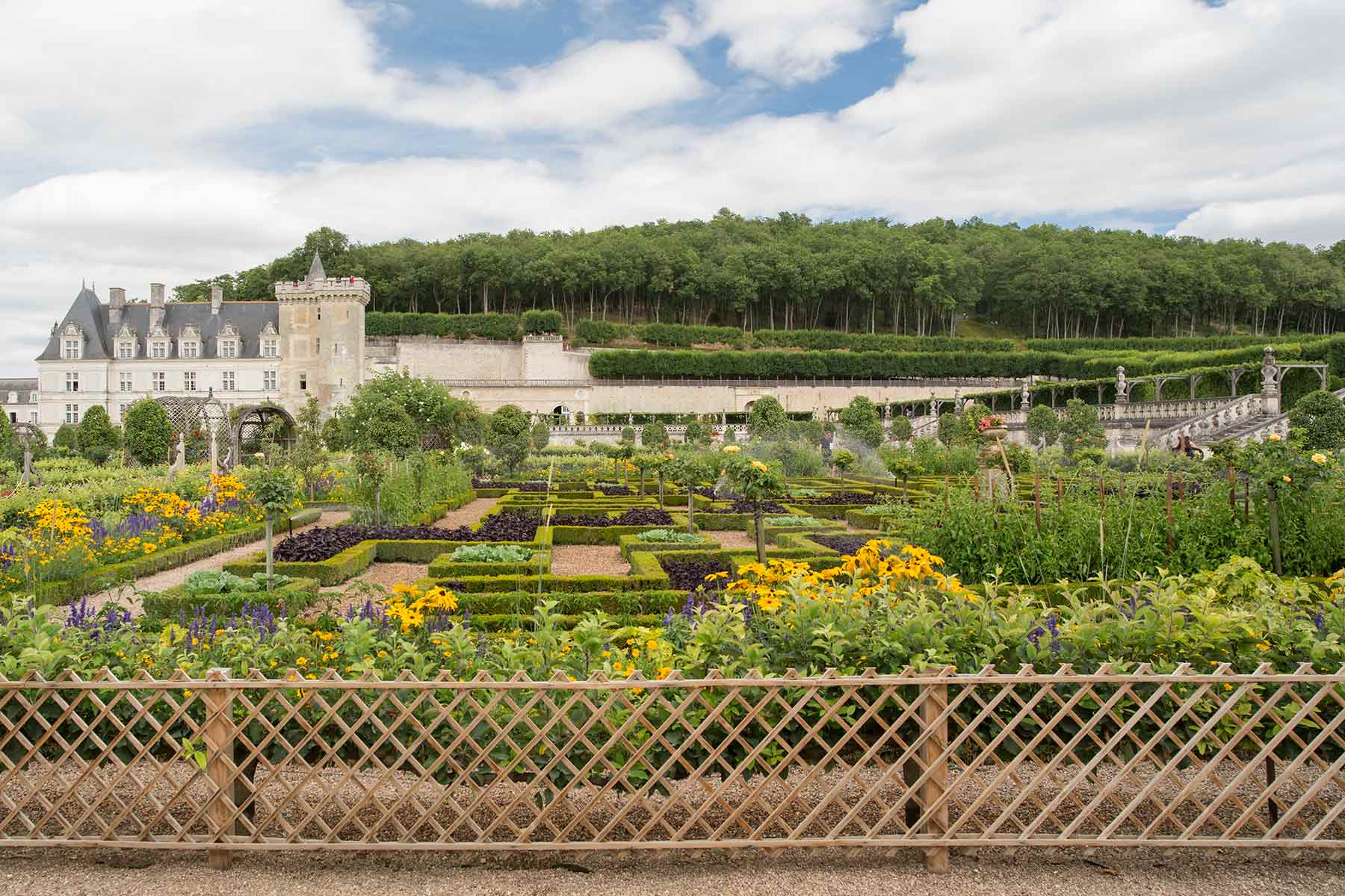 Villandry klippede former