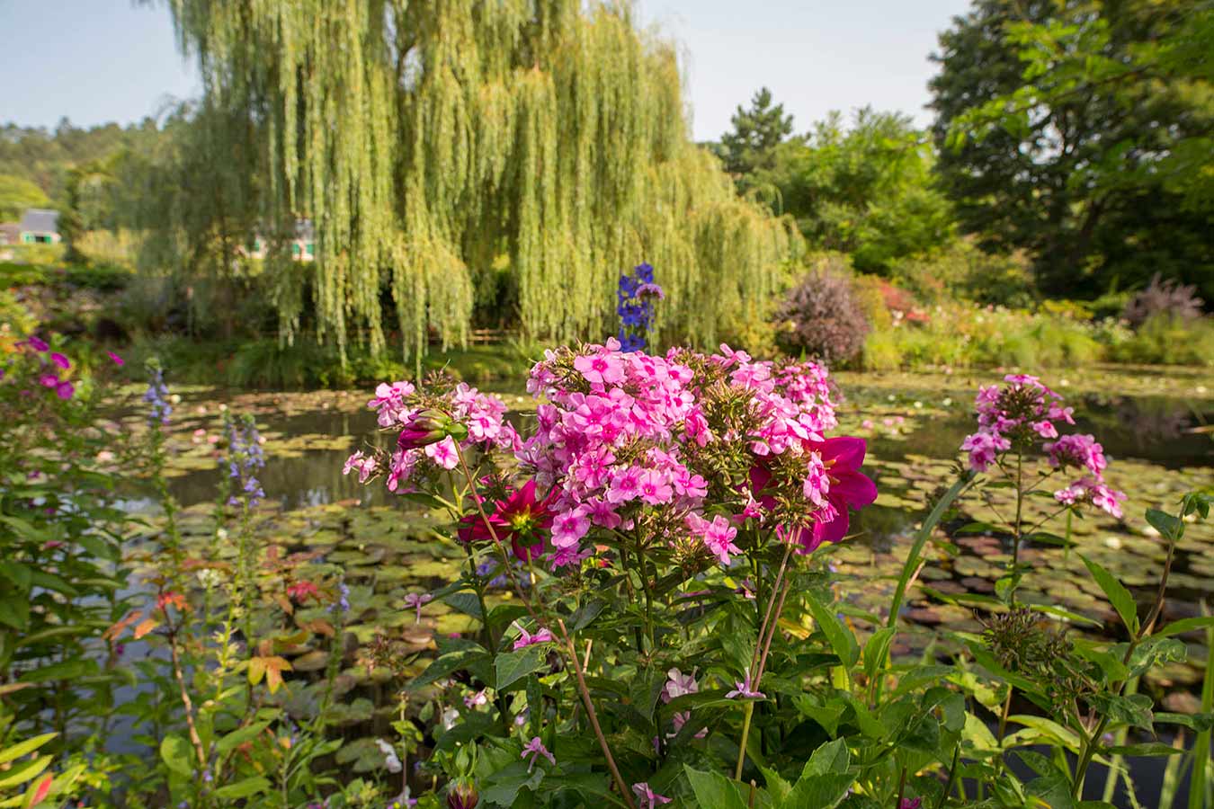 Jardin Plume