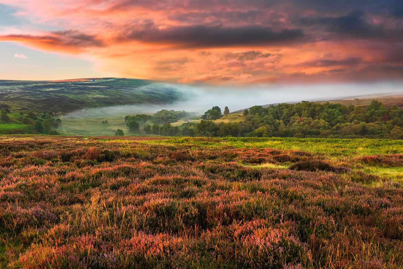 Harrows Yorkshire