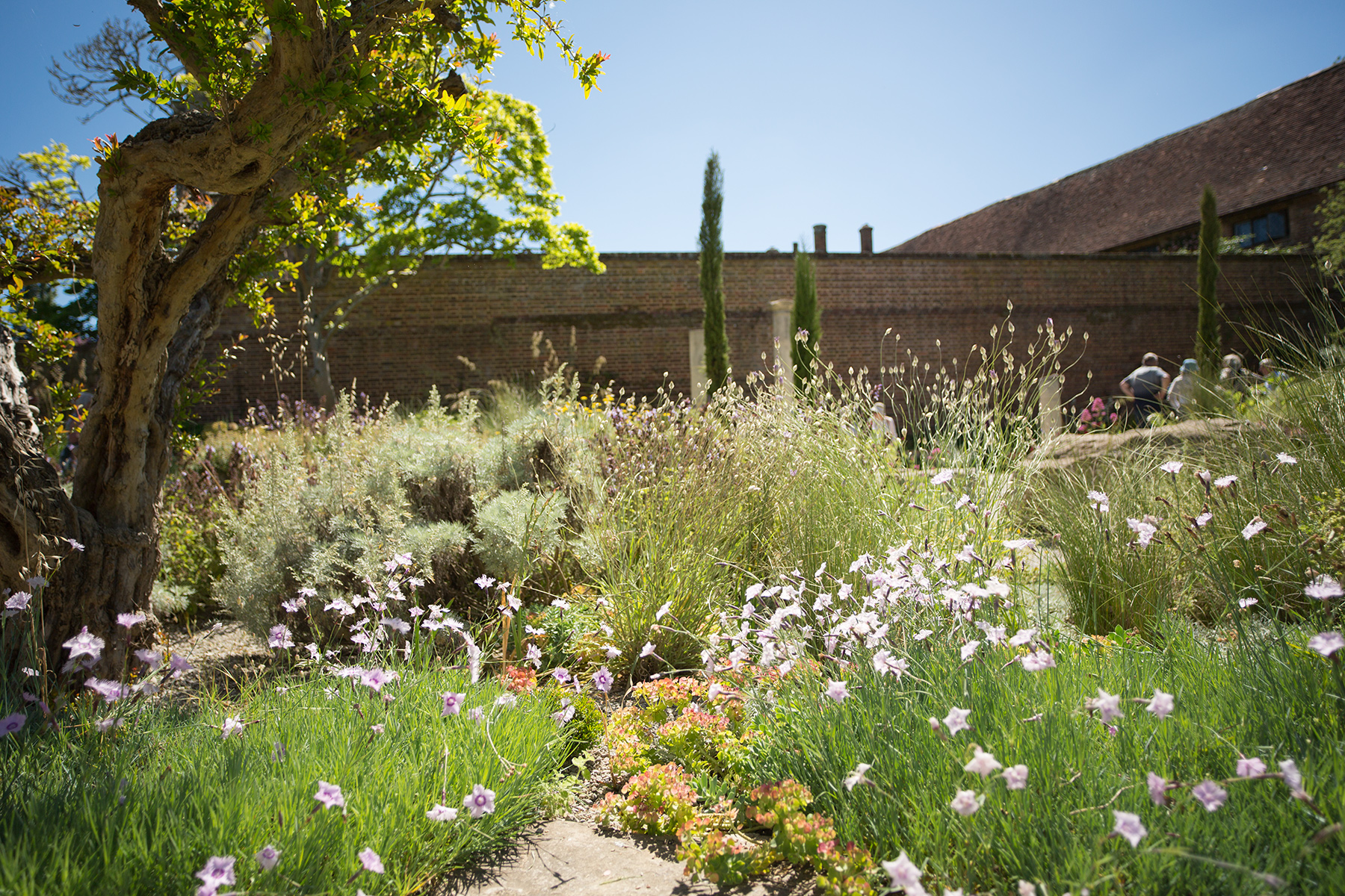 Sissinghurst