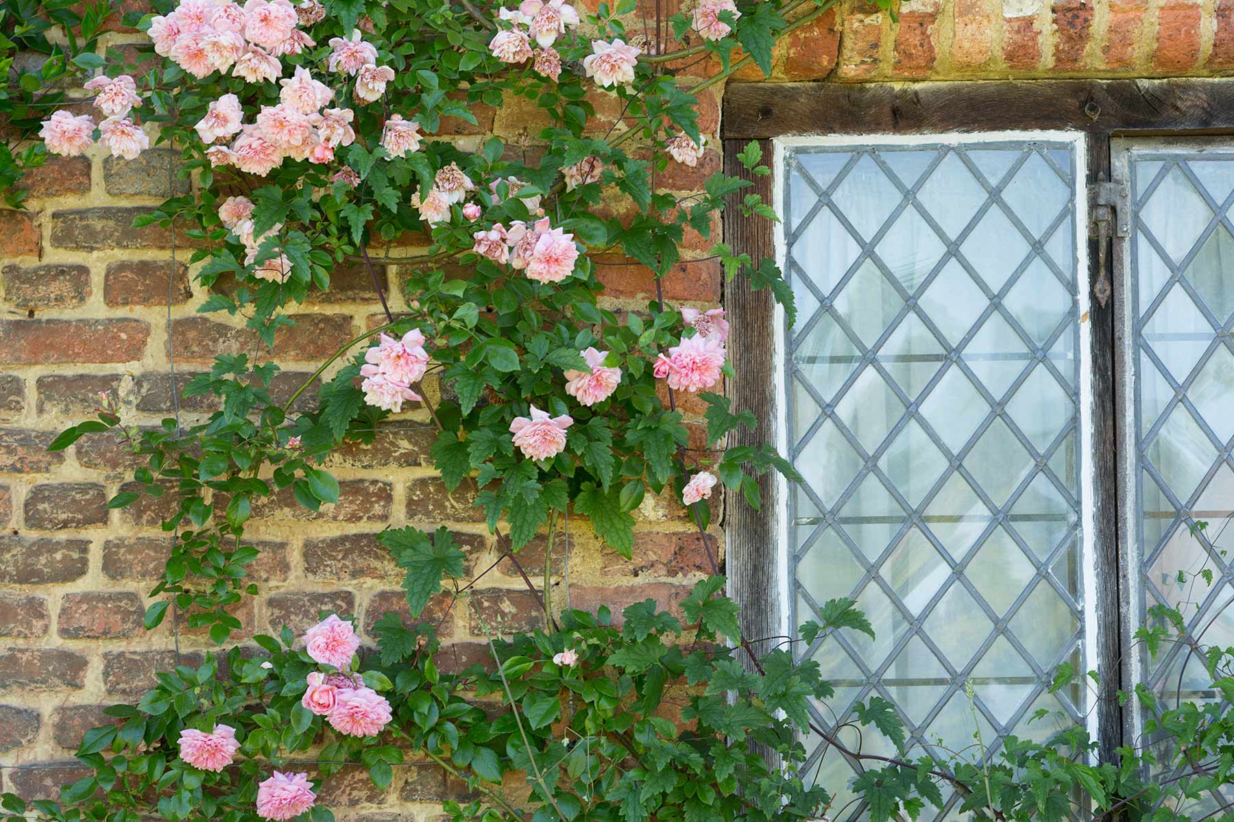 Sissinghurst